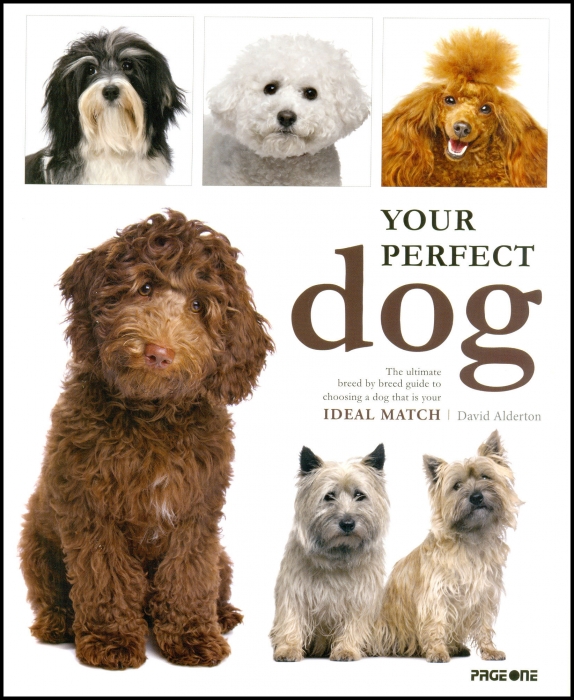 YOUR PERFECT DOG